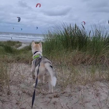 Surfin Villa Koksijde Exteriör bild