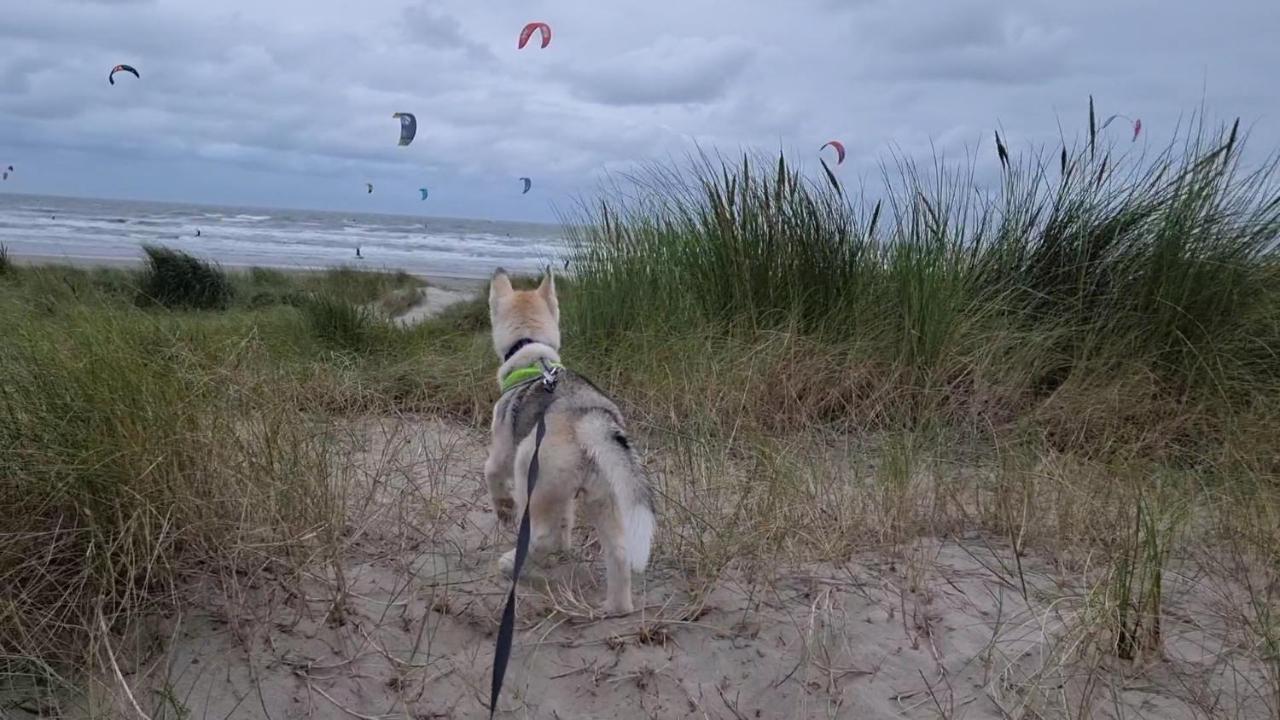 Surfin Villa Koksijde Exteriör bild